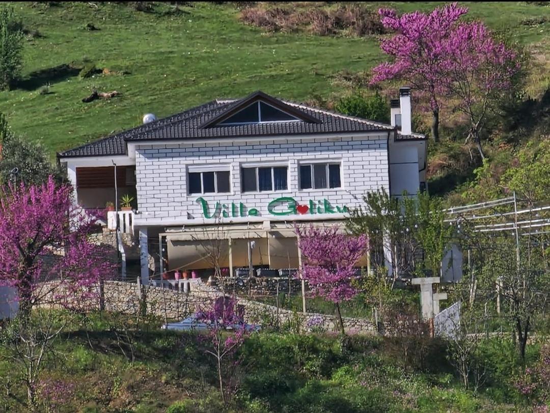 Villa Goliku Pestani Kültér fotó